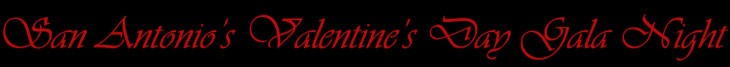 San Antonio's Valentine's Day Gala Night